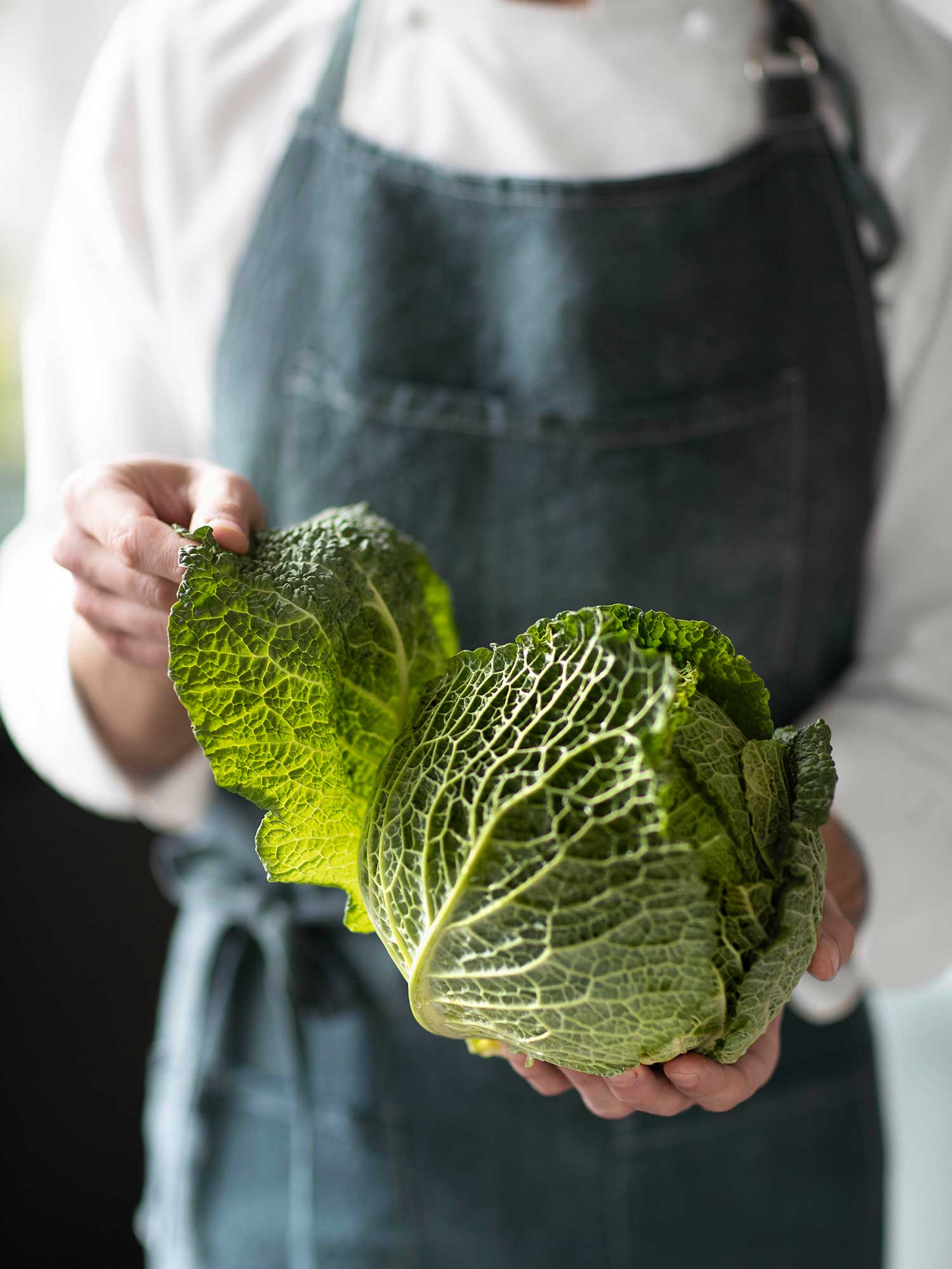 Ristorante Chenot - Wellness Restaurant at L'Albereta Relais & Châteaux in Franciacorta