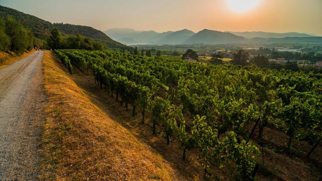 L'Albereta Relais & Chateaux in Franciacorta Hotel con Vista sul Lago d'Iseo